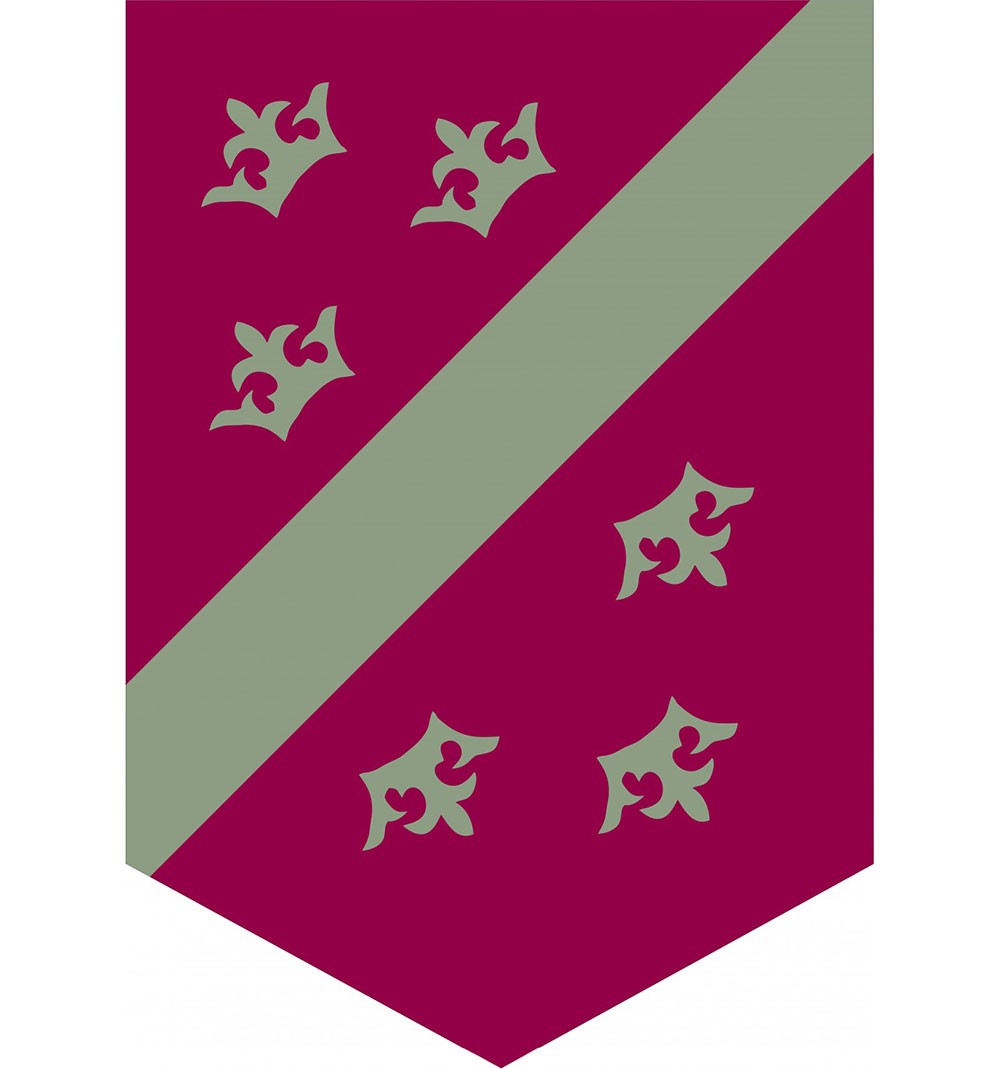 Bandeira Medieval Reign Coroas