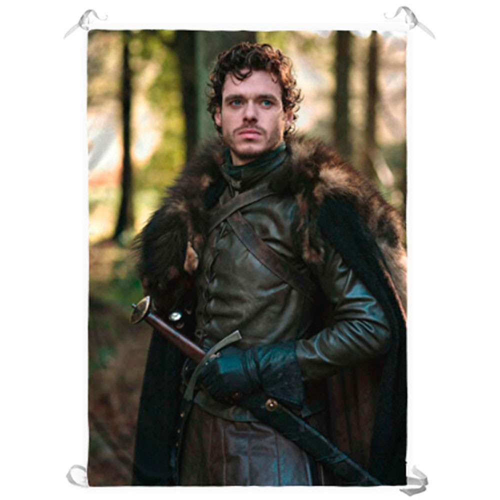 Estandarte Robb Stark, Game of Thrones (70x100 cm.)