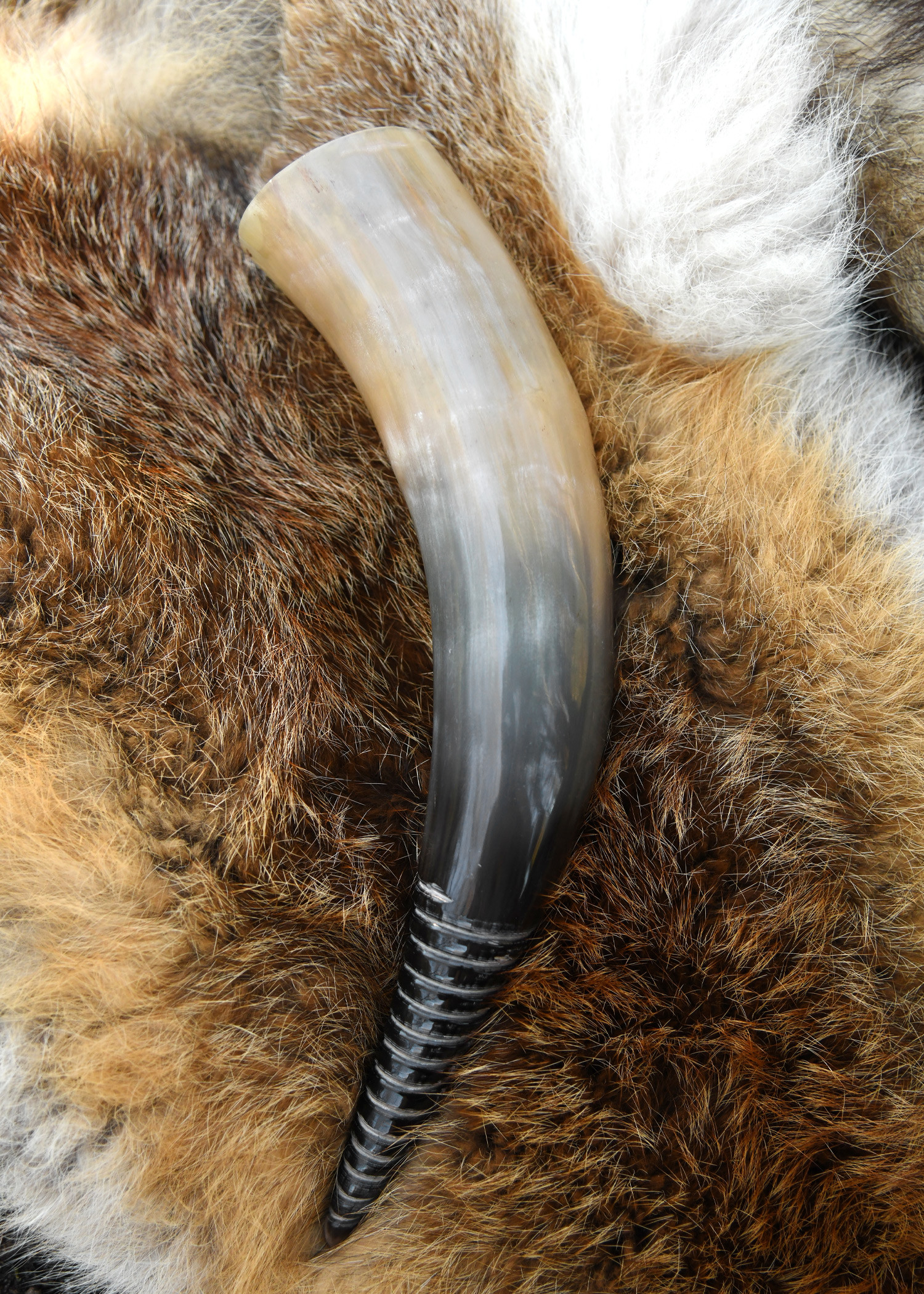 Chifre vikingue com design espiral (250 ml.)